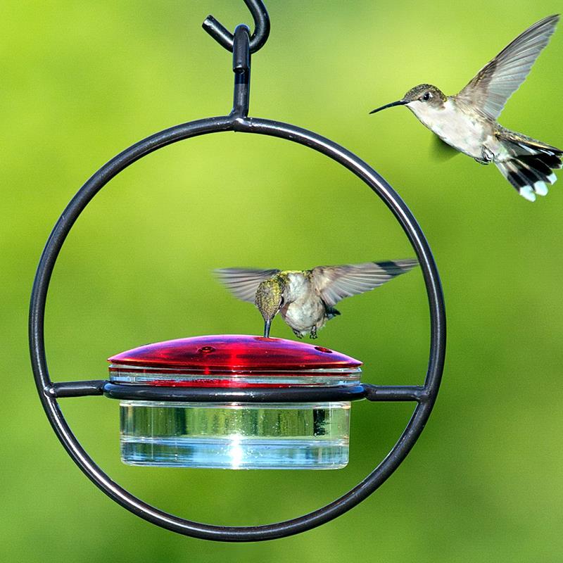 HUMMINGBIRD FEEDER,COURONNE CO.,M045-301
