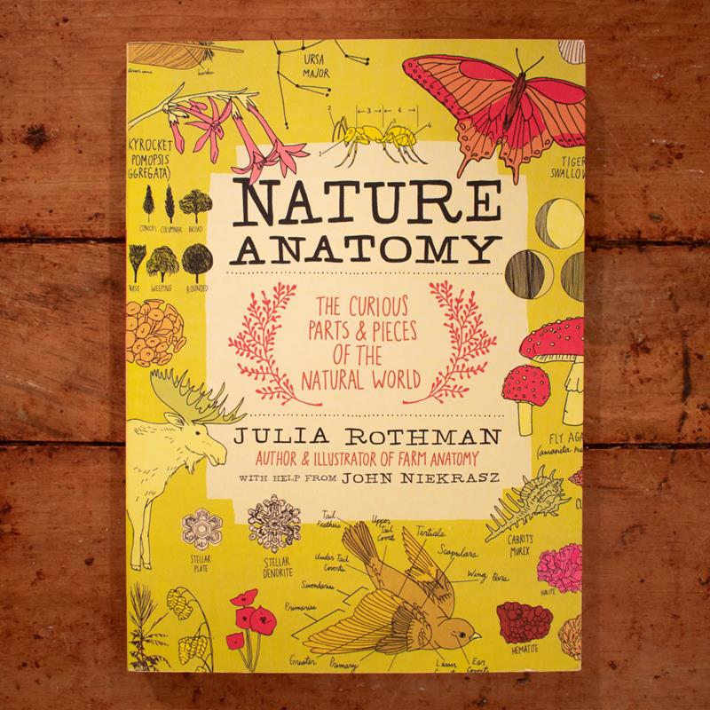 NATURE ANATOMY,WORKMAN PUBLISHING,9781612122311