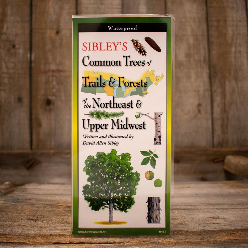 EARTH SKY + WATER GUIDES: COMMON TREES OF TRAILS & FORESTS,EARTH SKY AND WATER,TFN-150