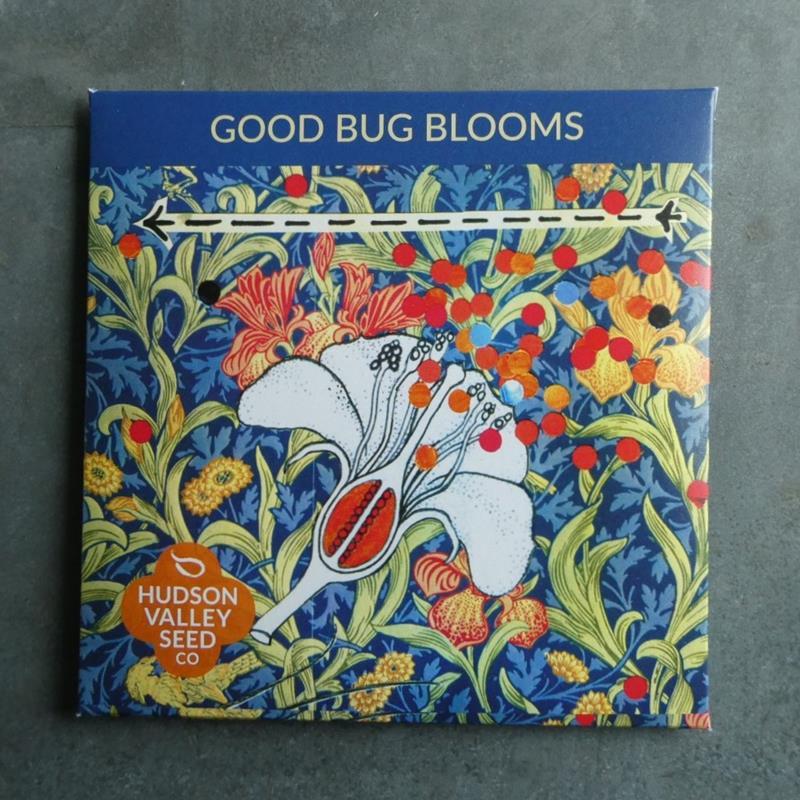 GOOD BUG BLOOMS,HUDSON VALLEY SEEDS,50520