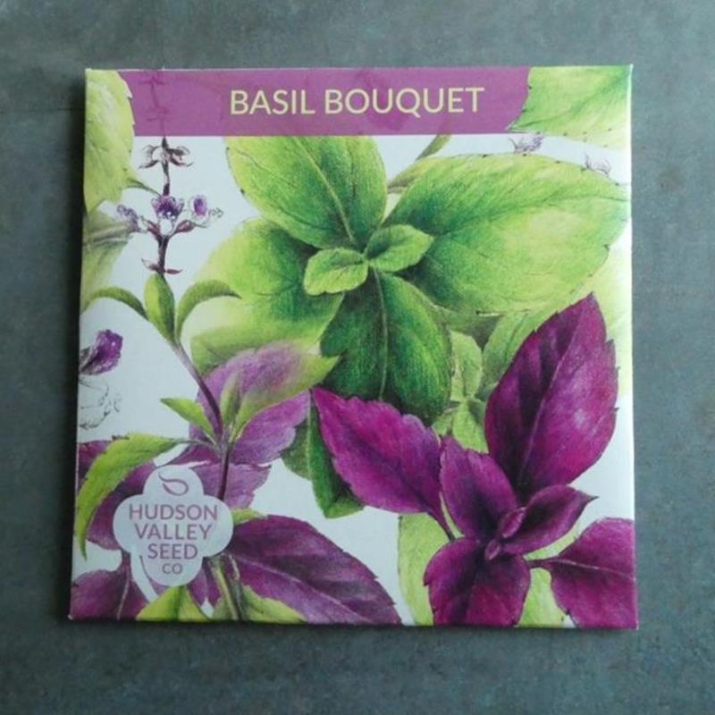 BASIL BOUQUET,HUDSON VALLEY SEEDS