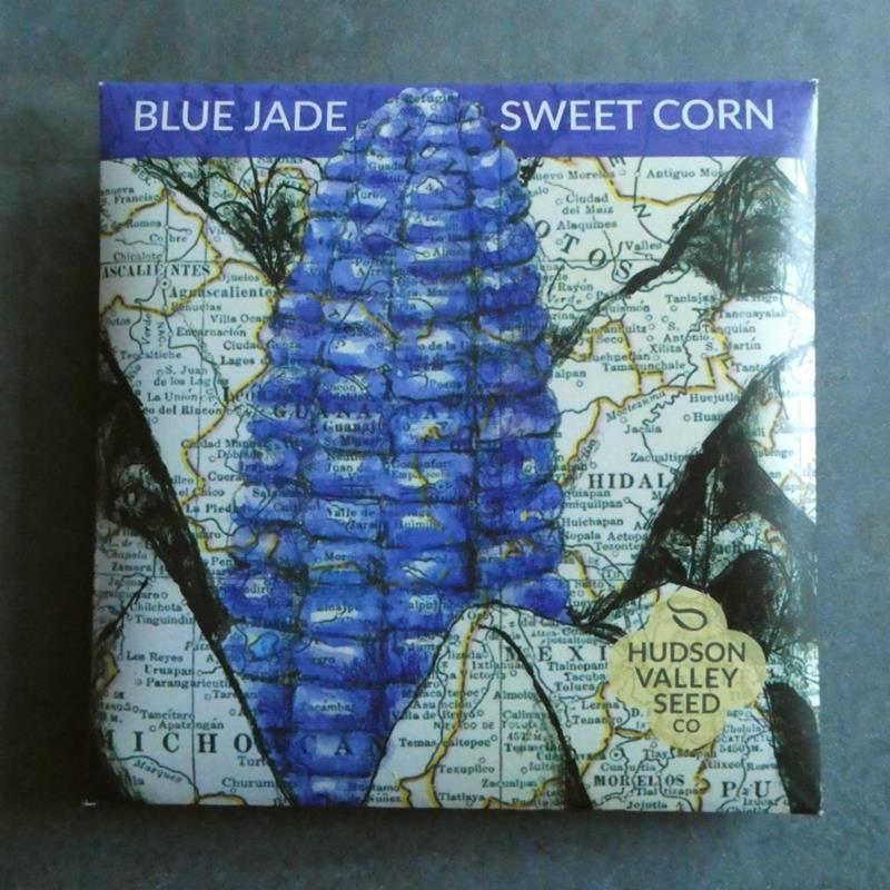 BLUE JADE SWEET CORN,HUDSON VALLEY SEEDS,10370
