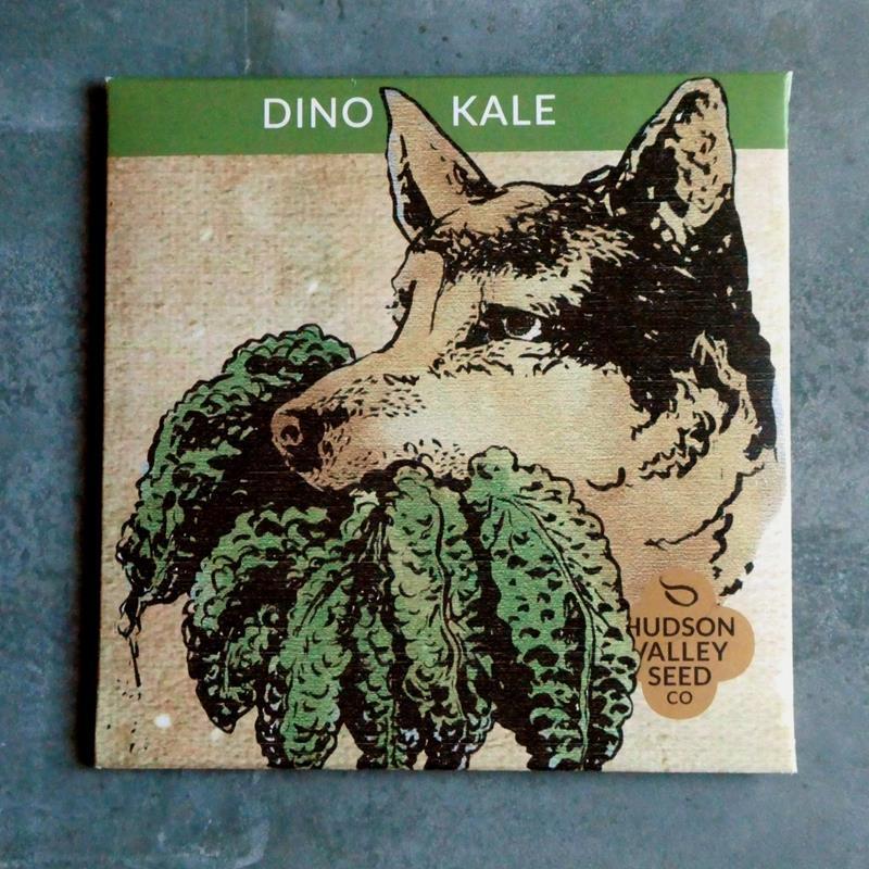 DINO KALE,10920