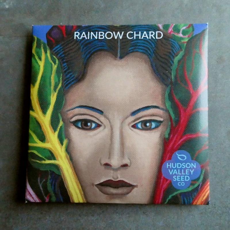 RAINBOW CHARD,HUDSON VALLEY SEEDS,12710
