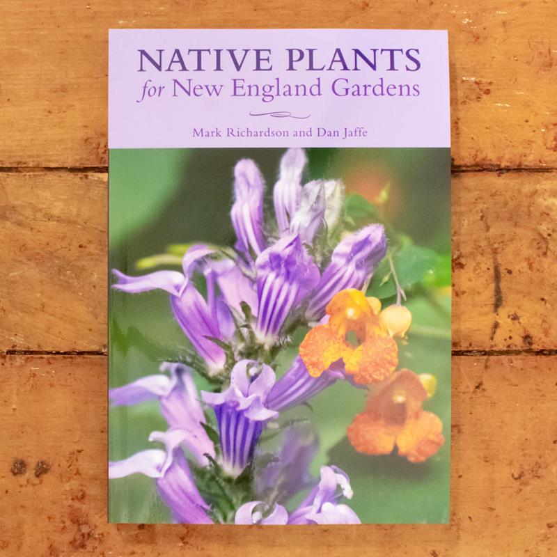 NATIVE PLANTS FOR NEW ENGLAND GARDENS,9781493029259