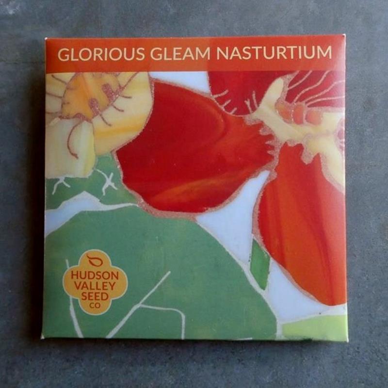 GLORIOUS GLEAM NASTURTIUM,HUDSON VALLEY SEEDS,50480