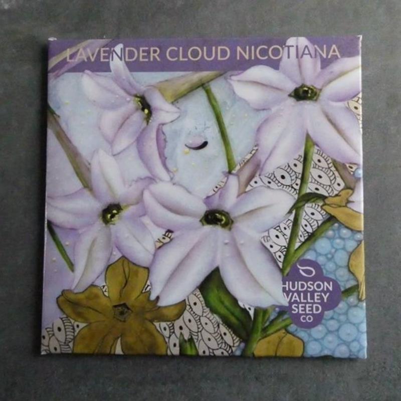 LAVENDER CLOUD NICOTIANA,HUDSON VALLEY SEEDS,11800