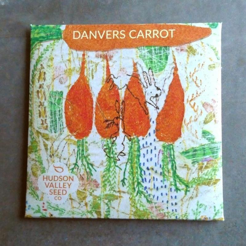 DANVERS CARROT,HUDSON VALLEY SEEDS,10850