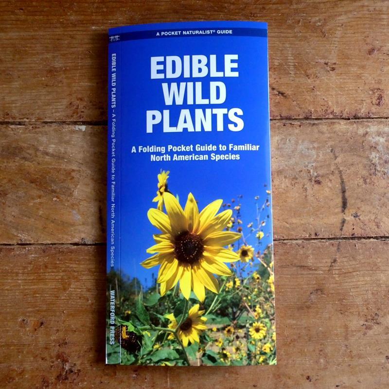 WATERFORD PRESS GUIDES: EDIBLE WILD PLANTS,WATERFORD PRESS,9781583551271