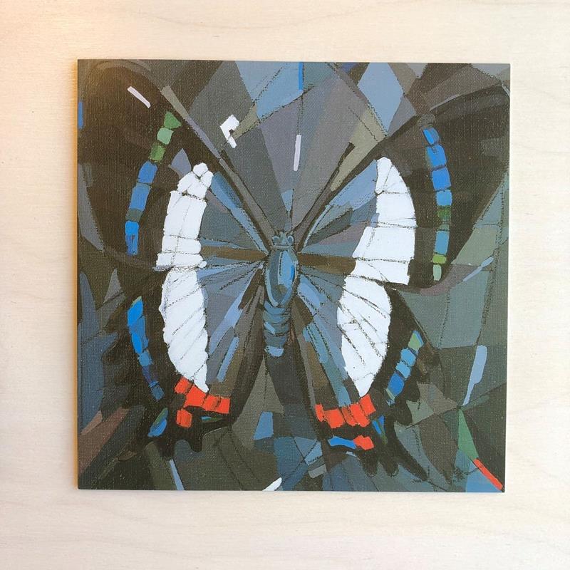 ANCYLURIS FORMISSIMA CARD,EVELINE HENNER ART,EVELINE HENNER ART