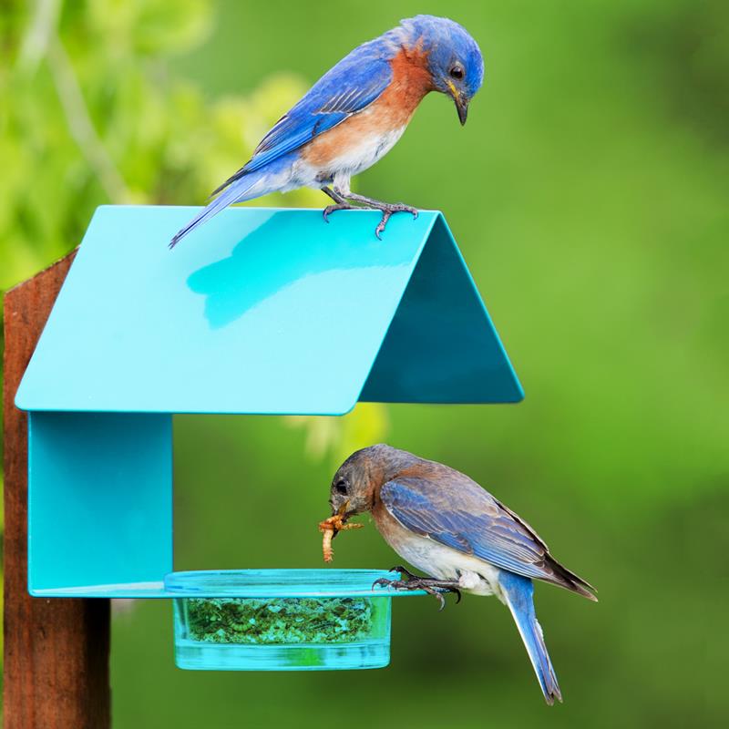 COTTAGE BIRD FEEDER: AQUA,COURONNE CO.,M447-200-A