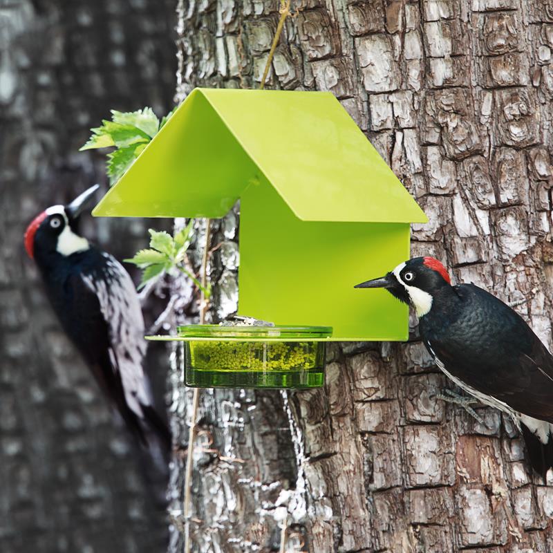 COTTAGE BIRD FEEDER: LIME,COURONNE CO.,M447-200-L