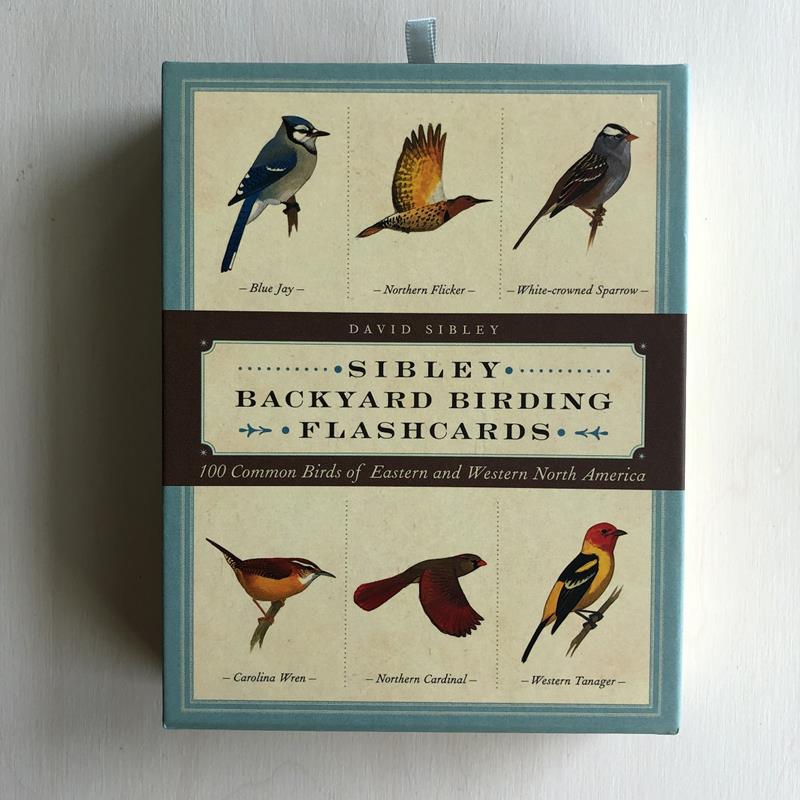 SIBLEY BACKYARD BIRDING FLASHCARDS,RANDOM HOUSE,9780593578544