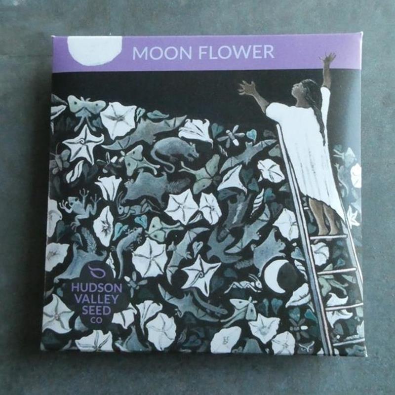 MOON FLOWER,HUDSON VALLEY SEEDS,50810
