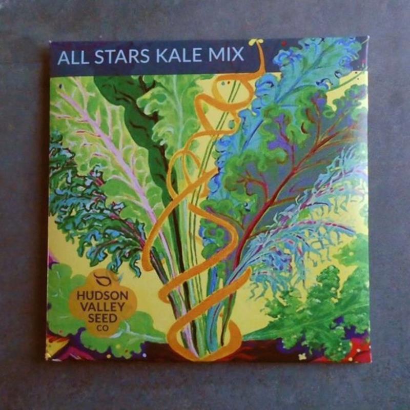ALL STARS KALE MIX,HUDSON VALLEY SEEDS,10030