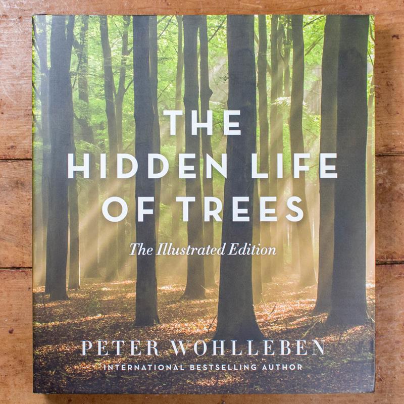 THE HIDDEN LIFE OF TREES: ILLUSTRATED EDITION,GREYSTONE BOOKS,9781771643481