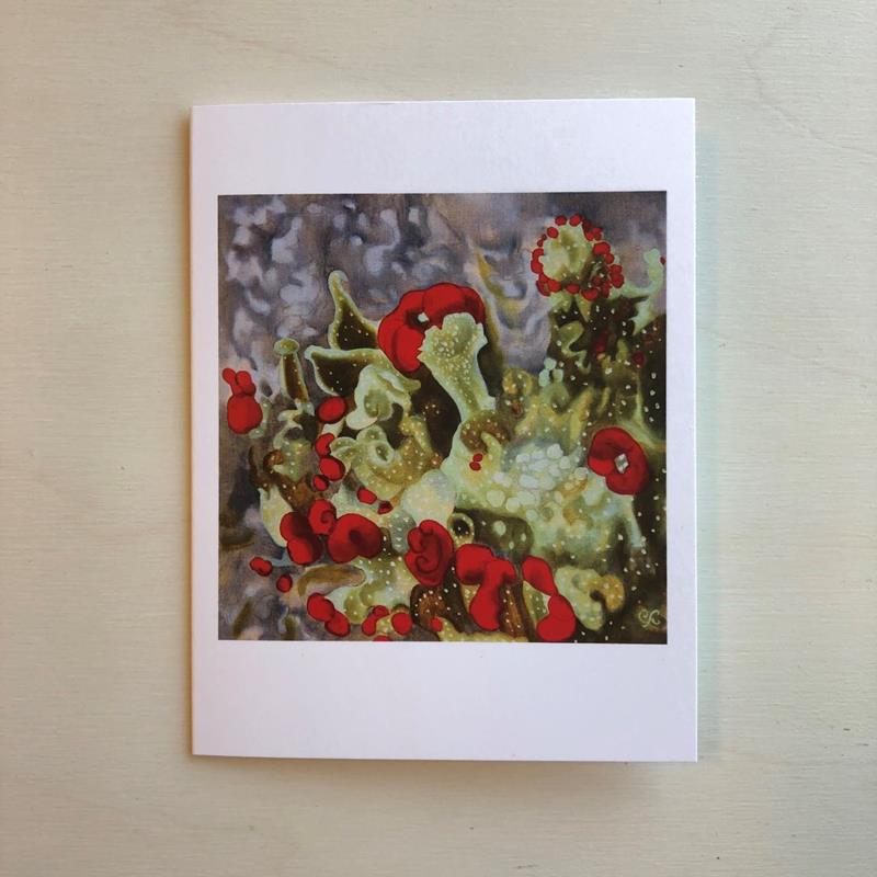BRITISH SOLDIERS LICHEN CARD,COLOR AFOOT PRESS,COLOR AFOOT PRESS