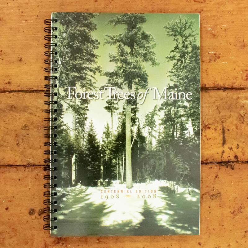FOREST TREES OF MAINE,MAINE FOREST SERVICE, 9781882190614