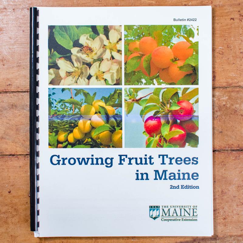 GROWING FRUIT TREES IN MAINE,UNIVERISTY OF MAINE COOP,2422