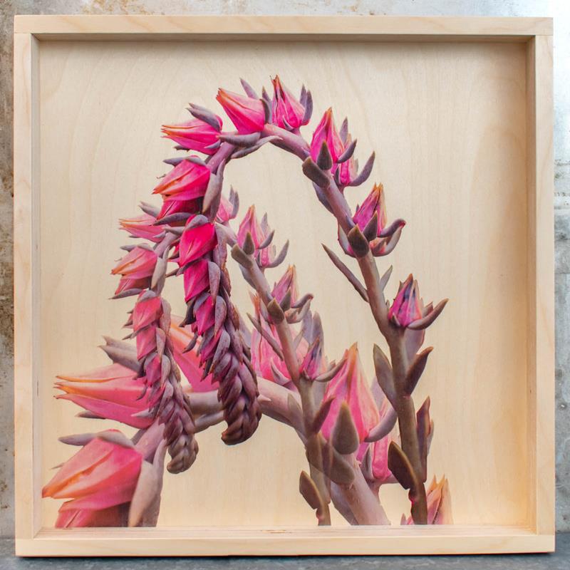 ECHEVARIA BLOOMS BIRCH PLY TRAY,LAMOU DESIGN