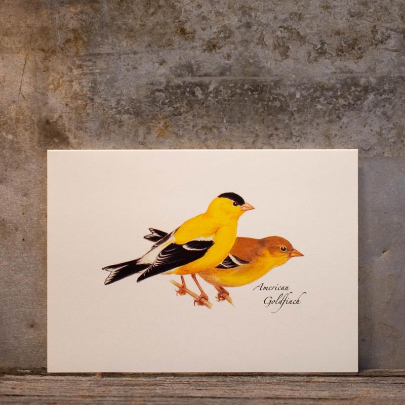 RECYCLED BOXED NOTECARDS: AMERICAN GOLDFINCH,EARTH SKY AND WATER,NC-64