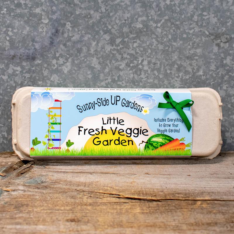 FRESH VEGGIE GARDEN SEED KIT,BACKYARD SAFARI COMPANY,SS-FVG