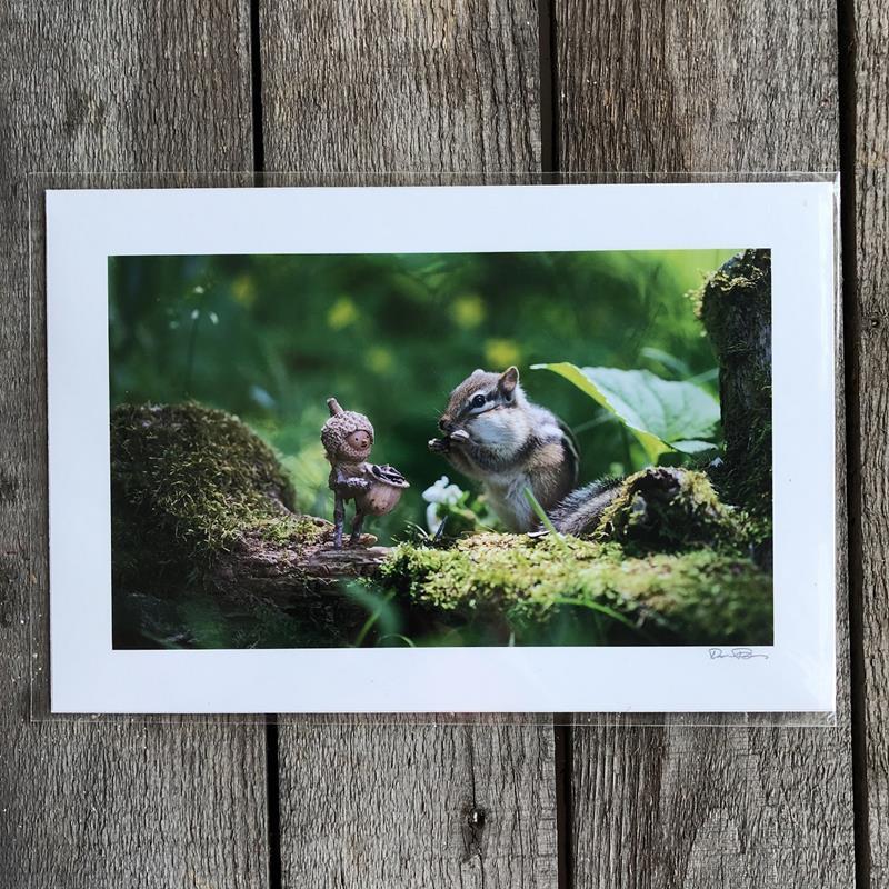 FEEDING CHIPMUNK PRINT,DAVID M BIRD,DAVID M BIRD