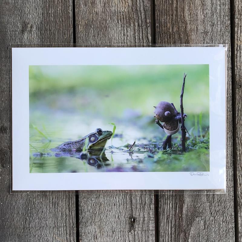 FROG PRINT,DAVID M BIRD,DAVID M BIRD