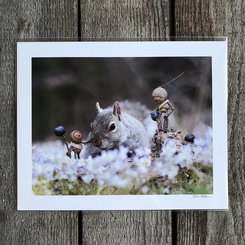 PROJECT BLUEBERRY PRINT,DAVID M BIRD,DAVID M BIRD