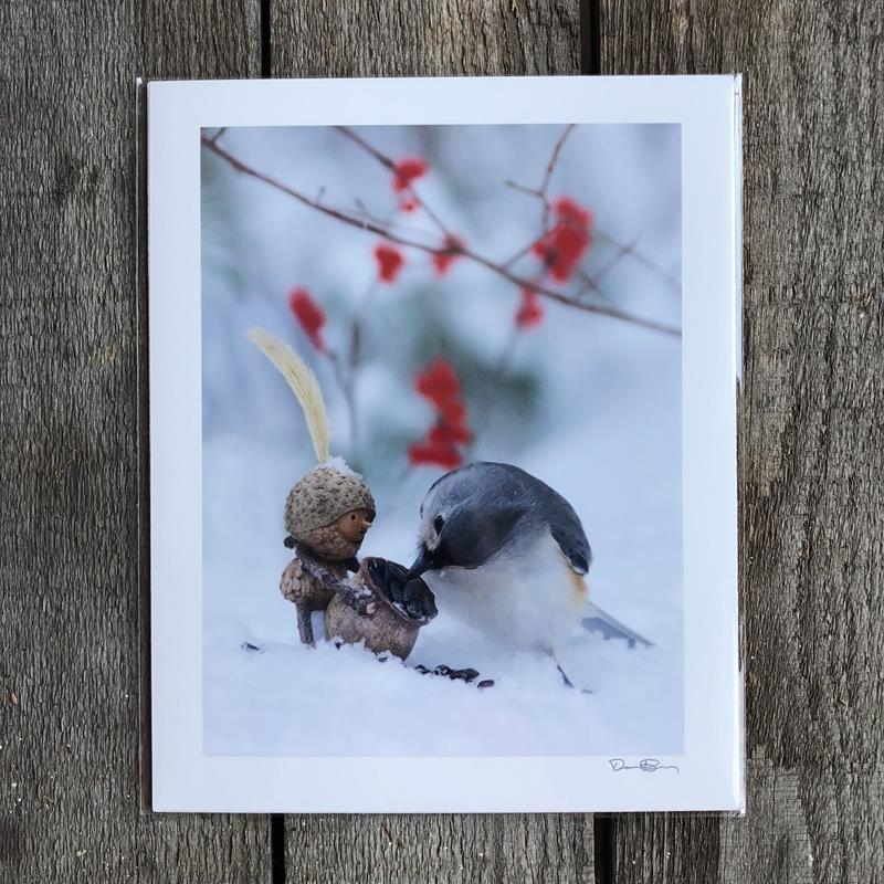 WINTER TITMOUSE PRINT,DAVID M BIRD,DAVID M BIRD