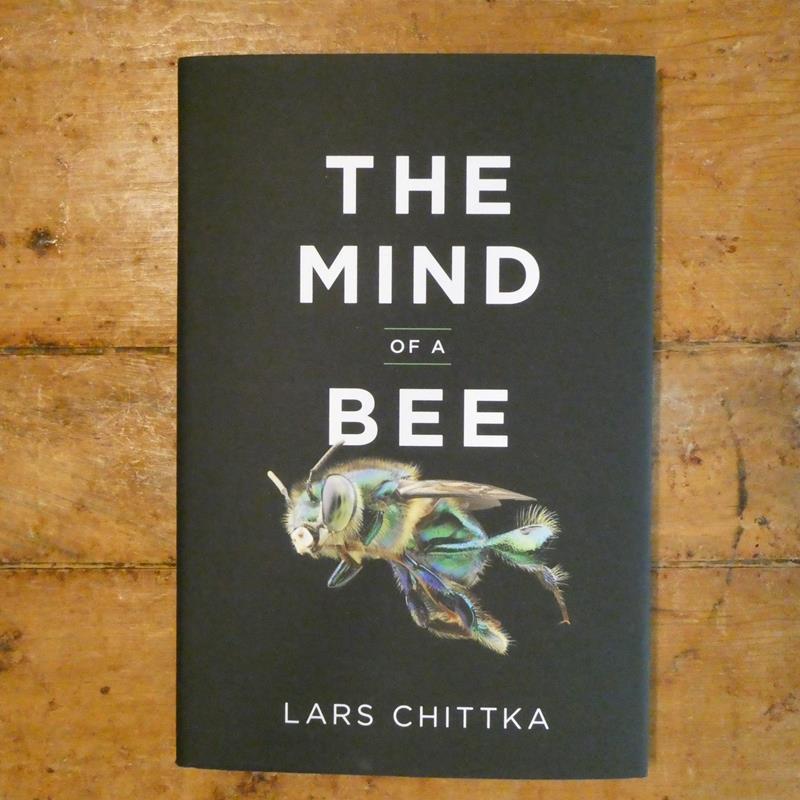 THE MIND OF A BEE,INGRAM PUBLISHING SERVICES,9780691180472