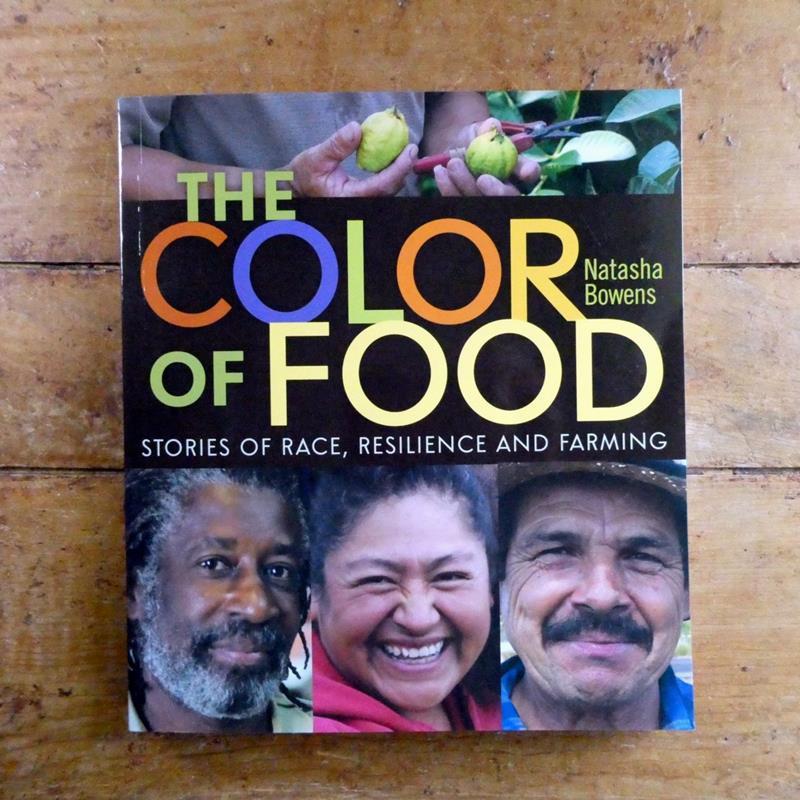 THE COLOR OF FOOD: STORIES OF RACE, RESILIENCE, AND FARMING,INGRAM PUBLISHING SERVICES,9780865717893