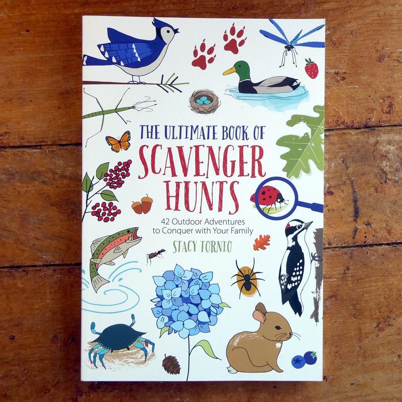 THE ULTIMATE BOOK OF SCAVENGER HUNTS,NATIONAL BOOK NETWORK,9781493051533