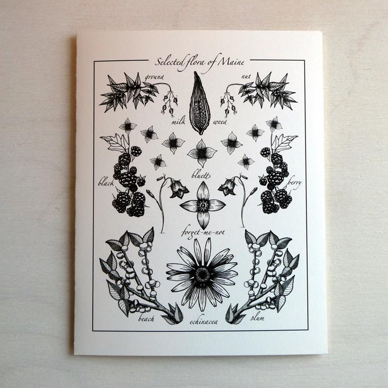 FLORA OF MAINE CARD: SELECTED FLORA,ISABELL ZOE CIOLFI,ISABELLA  ZOE CIOLFI