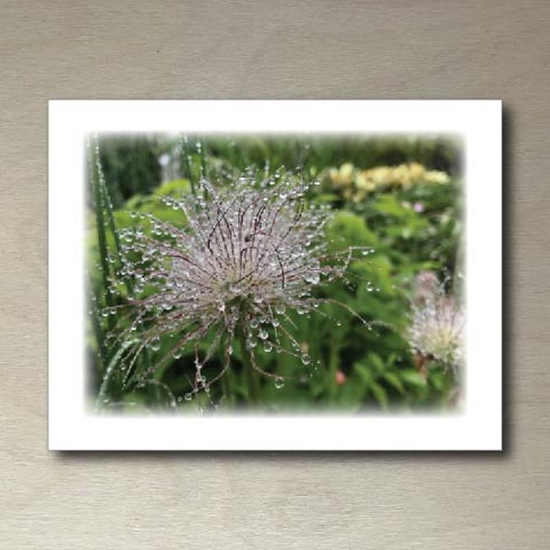 CMBG FOLDING CARD: ALLIUM,CMBG,TPI SOLUTIONS INK