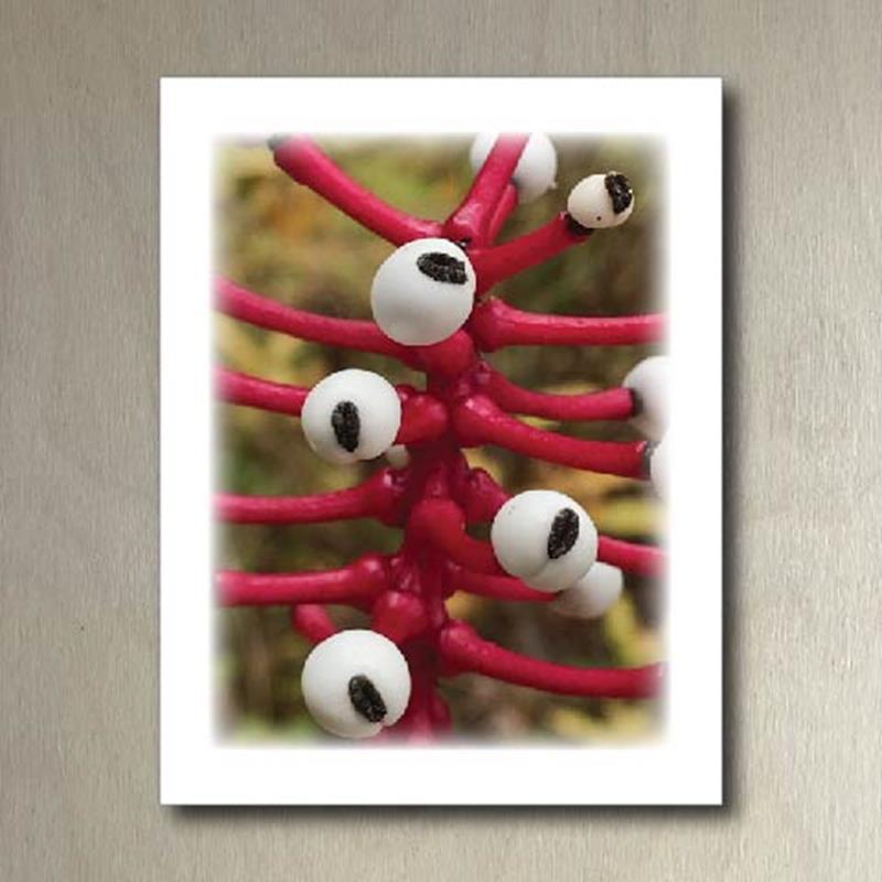 CMBG FOLDING CARD: DOLL'S EYES,CMBG,TPI SOLUTIONS INK