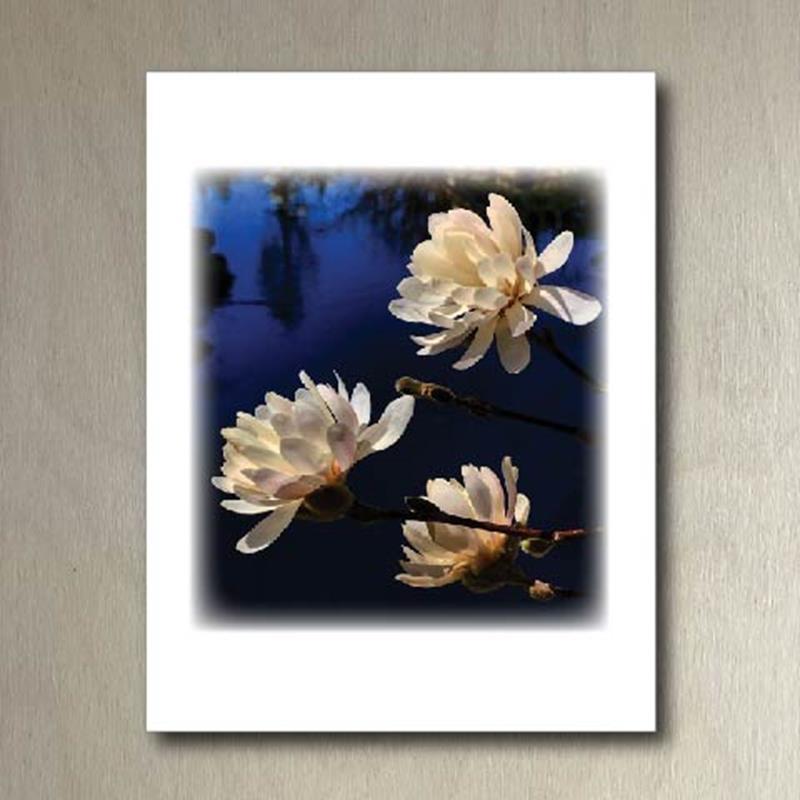 CMBG FOLDING CARD: MAGNOLIA BLOSSOM POND,CMBG,TPI SOLUTIONS INK