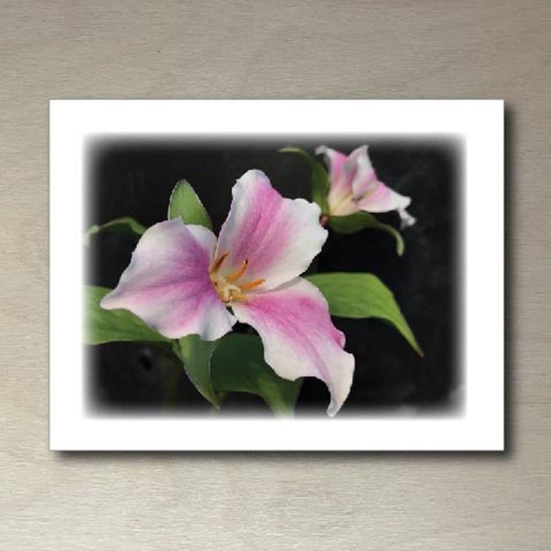 CMBG FOLDING CARD: TRILLIUM,CMBG,TPI SOLUTIONS INK