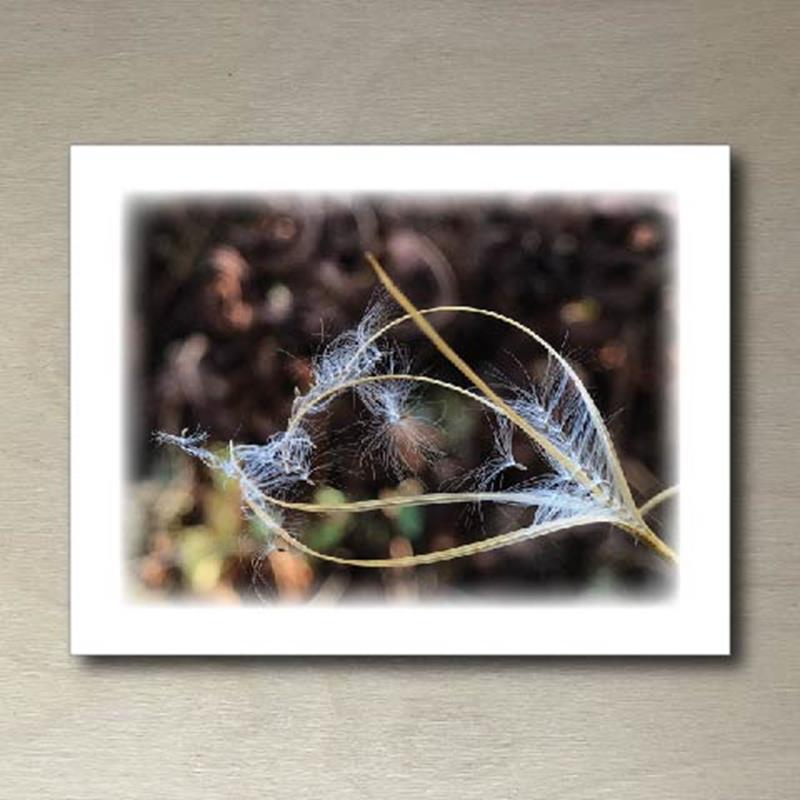 CMBG FOLDING CARD: WILLOWHERB,CMBG,TPI SOLUTIONS INK