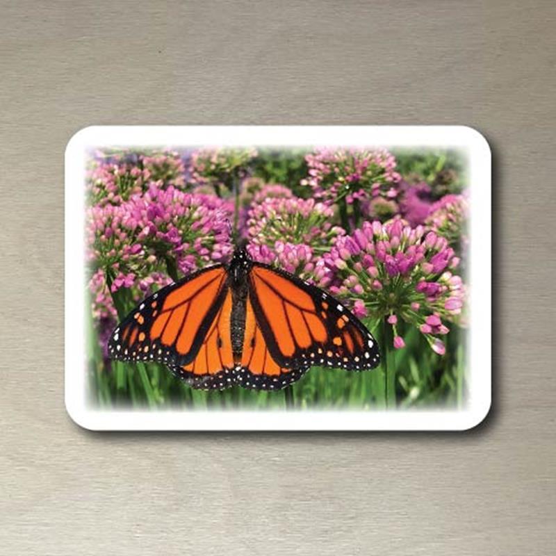 CMBG POSTCARD: MONARCH,CMBG,TPI SOLUTIONS INK
