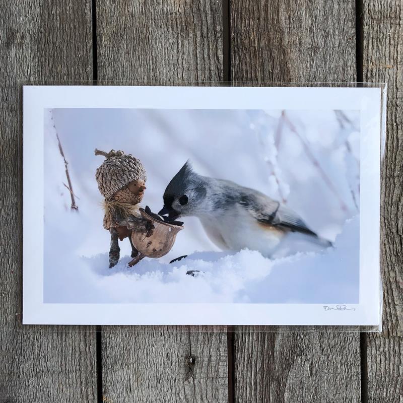 WINTER TITMOUSE 2 PRINT,DAVID M BIRD,DAVID M BIRD