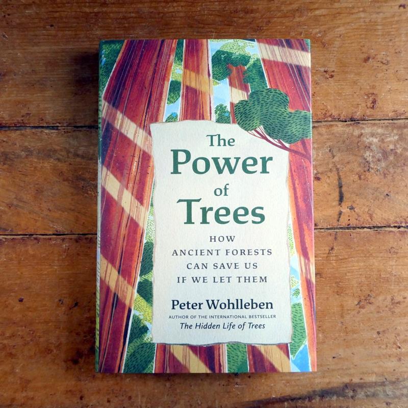THE POWER OF TREES: HOW ANCIENT FORESTS CAN SAVE US,INGRAM PUBLISHING SERVICES,9781771647748
