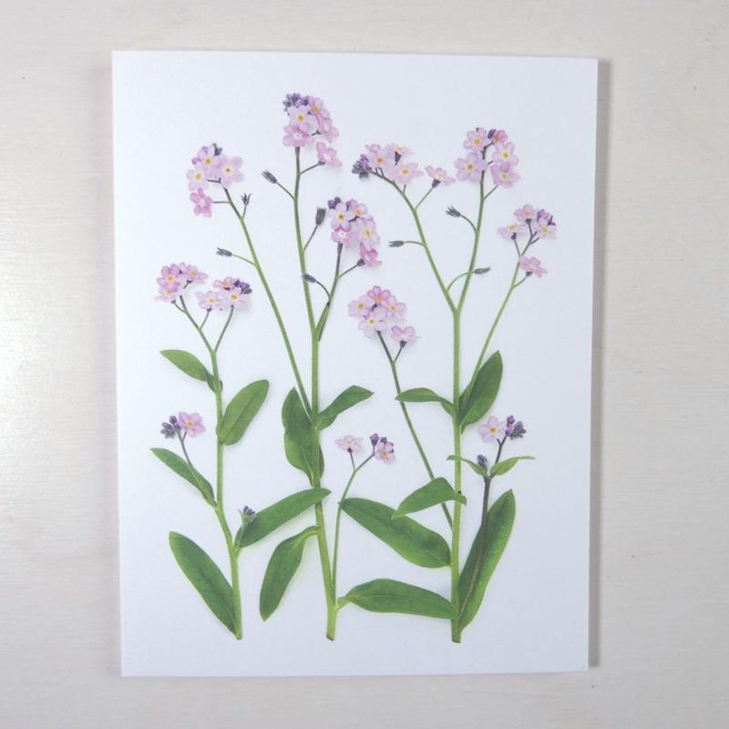 PINK FORGET ME NOTS CARD,BOTTLE BRANCH,BOTTLE BRANCH