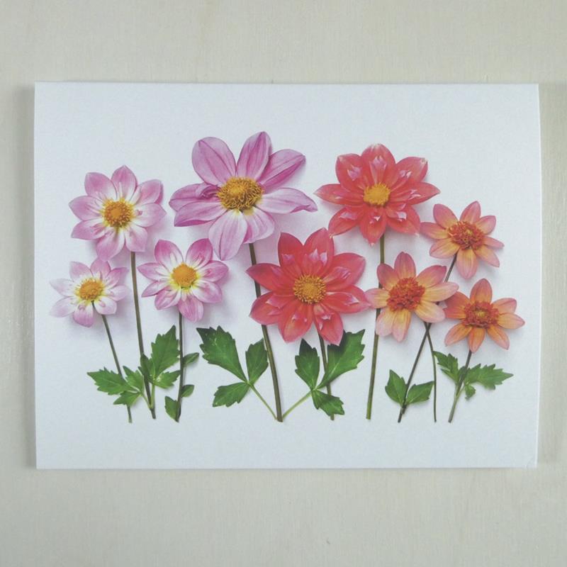DAHLIAS CARD,BOTTLE BRANCH,BOTTLE BRANCH