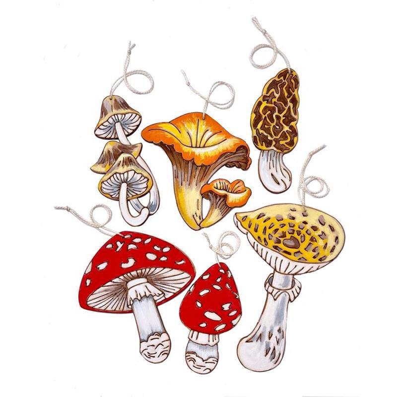 NATURAL WONDERS PAINT KIT: MUSHROOMS,HEIDI BOYD,PAINT MUSHROOM ORNS
