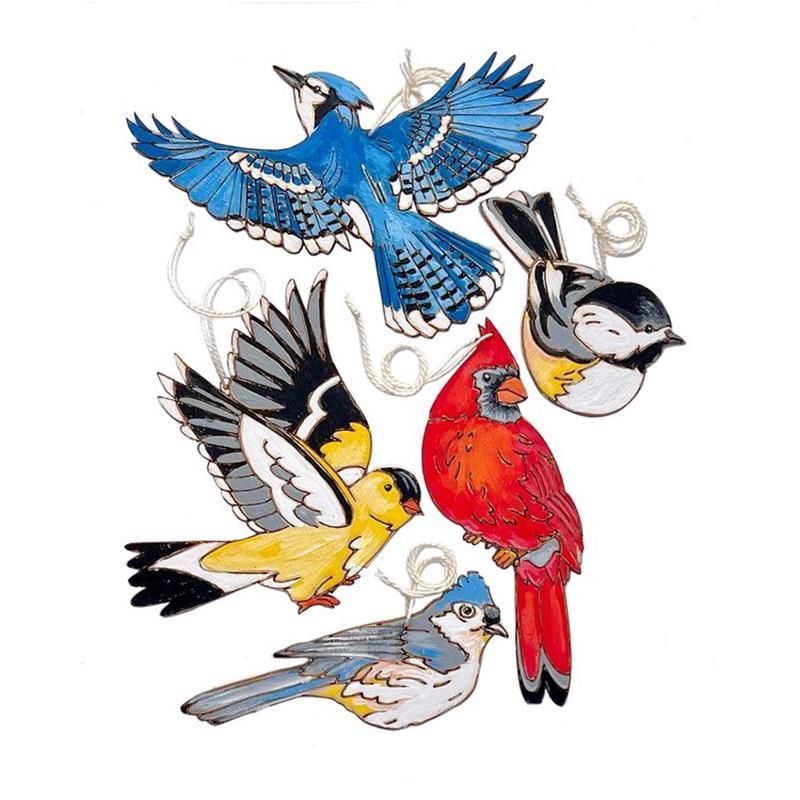 NATURAL WONDERS PAINT KIT: BIRDS,HEIDI BOYD,PAINT BIRD ORNAMENTS