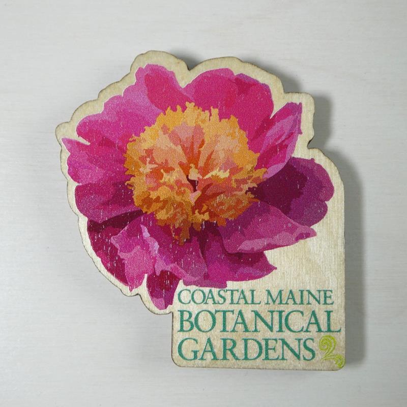 CMBG WOODEN PEONY MAGNET,INGENEIUS,PEONY CUT OUT MAG