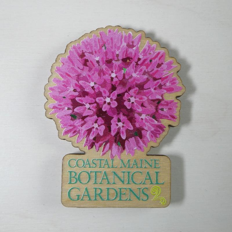 CMBG WOODEN ALLIUM MAGNET,INGENEIUS,ALLIUM CUT OUT MAG