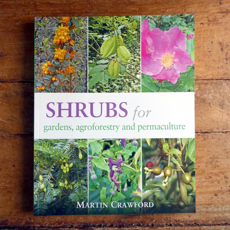 SHRUBS FOR GARDENS, AGROFORESTRY, AND PERMACULTURE,CHELSEA GREEN PUBLISHING,9781856233330