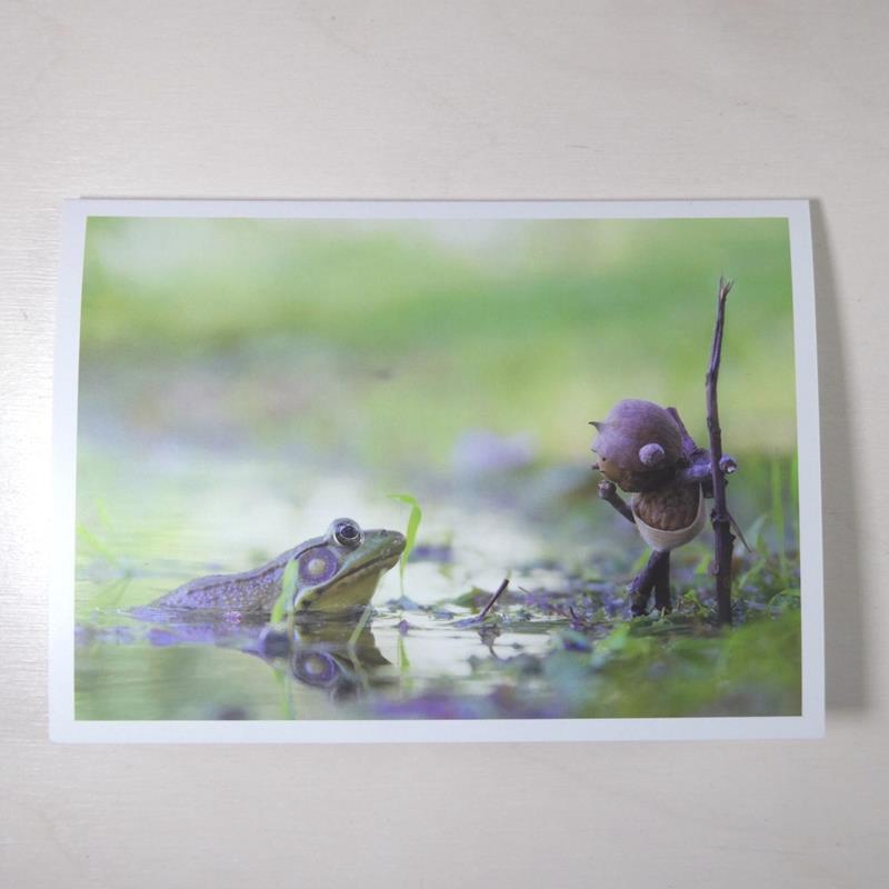 FROG CARD,DAVID M BIRD,DAVID M BIRD